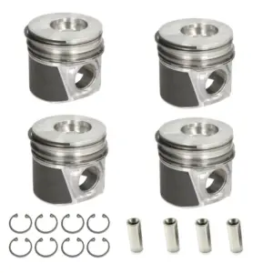 PISTON  4 CYL - Image 1
