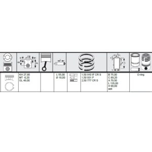 PISTON ASSEMBLY - Image 2