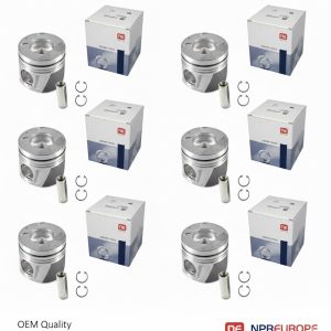 PISTONS & RINS SET 6 CYL
