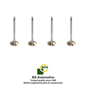 INTAKE VALVE SET